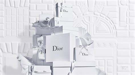 dior anlık|christian dior official site.